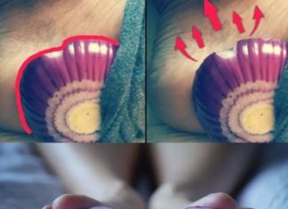 The Amazing Healing Power of Onions: A Surprising Remedy