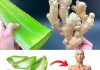 Unleashing the Power of Ginger and Aloe Vera: Your Ultimate Natural Health Tonic