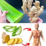 Unleashing the Power of Ginger and Aloe Vera: Your Ultimate Natural Health Tonic