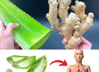 Unleashing the Power of Ginger and Aloe Vera: Your Ultimate Natural Health Tonic