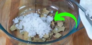 Just Add Bay Leaves and Salt: Stop Spending Money at the Pharmacy
