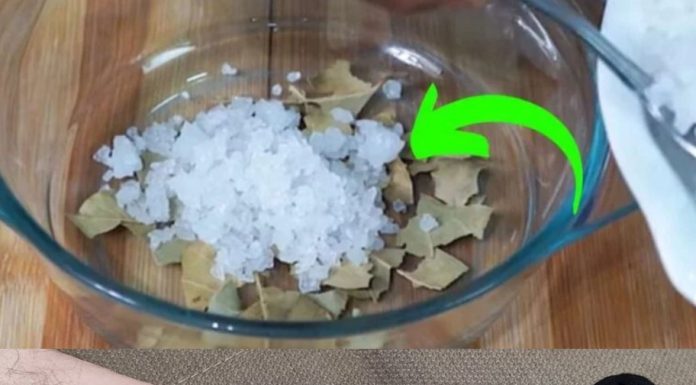 Just Add Bay Leaves and Salt: Stop Spending Money at the Pharmacy