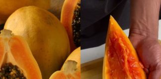 Healthy Papaya Juice for Better Health and Digestion