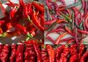 Unlocking the Power of Cayenne Pepper: Surprising Benefits and Uses You Need to Know