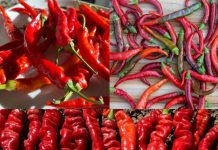 Unlocking the Power of Cayenne Pepper: Surprising Benefits and Uses You Need to Know