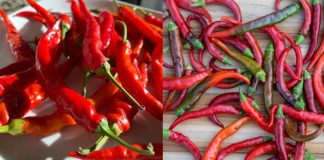 Unlocking the Power of Cayenne Pepper: Surprising Benefits and Uses You Need to Know