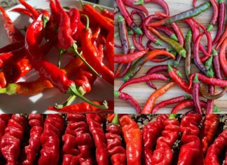 Unlocking the Power of Cayenne Pepper: Surprising Benefits and Uses You Need to Know