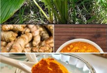 Turmeric: Unlocking Its Full Potential for Whole Body Recovery