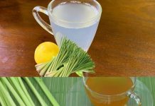 Lemongrass Tea: A Refreshing and Healthy Way to Kickstart Your Day