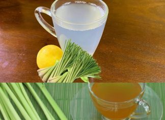 Lemongrass Tea: A Refreshing and Healthy Way to Kickstart Your Day