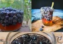 Discover the Natural Power: Berries and Honey for Lasting Health
