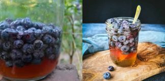 Discover the Natural Power: Berries and Honey for Lasting Health