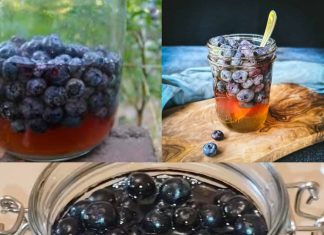 Discover the Natural Power: Berries and Honey for Lasting Health