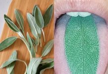 A Natural Remedy to Clear Your Throat Better Than Pills