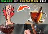 Drink Cinnamon Tea Daily..? 12 Astonishing Benefits!