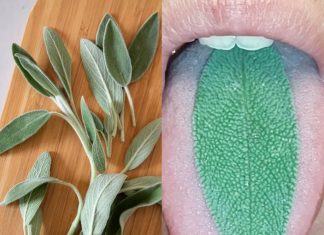 A Natural Remedy to Clear Your Throat Better Than Pills