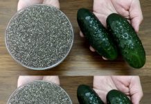 I Drank Chia Seeds and Cucumber Juice for 1 Week – Here’s What Happened (Amazing Health Benefits)