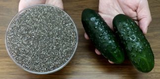 I Drank Chia Seeds and Cucumber Juice for 1 Week – Here’s What Happened (Amazing Health Benefits)