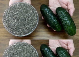 I Drank Chia Seeds and Cucumber Juice for 1 Week – Here’s What Happened (Amazing Health Benefits)