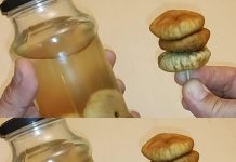 The Secret to Burning Fat from Blood Vessels: A Natural Approach to Managing High Cholesterol