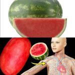 What Happens to Your Body When You Eat Watermelon Every Day