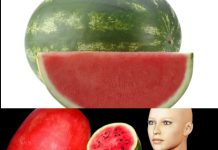 What Happens to Your Body When You Eat Watermelon Every Day