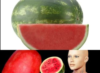 What Happens to Your Body When You Eat Watermelon Every Day