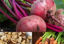 Unlock the Hidden Benefits of Pumpkin Seeds: A Simple Addition to Boost Your Health Naturally.