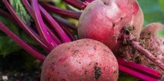 Unlock the Hidden Benefits of Pumpkin Seeds: A Simple Addition to Boost Your Health Naturally.