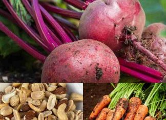 Unlock the Hidden Benefits of Pumpkin Seeds: A Simple Addition to Boost Your Health Naturally.