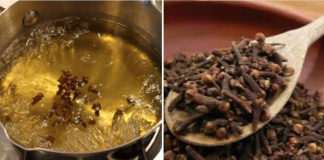 How Adding Cloves to My Daily Routine Transformed My Health and Life
