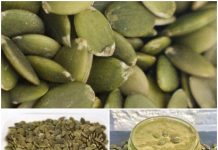 Discover the Hidden Health Boost from Adding Pumpkin Seeds to Your Daily Routine.