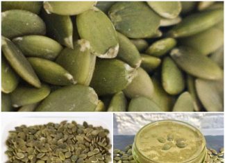 Discover the Hidden Health Boost from Adding Pumpkin Seeds to Your Daily Routine.