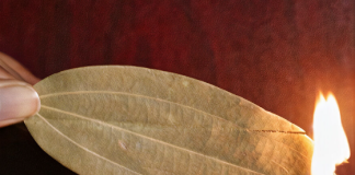 How to Use Bay Leaves to Naturally Scent Your Entire Home