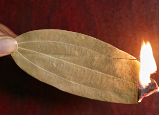 How to Use Bay Leaves to Naturally Scent Your Entire Home