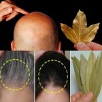 Unbelievable Bay Leaves for Hair Growth