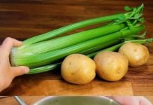 Vegetable Soup with Aromatic Croutons