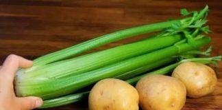 Vegetable Soup with Aromatic Croutons