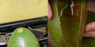 Avocado Oil Trick That’s Super Easy