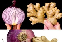 Why Doctors Are BEGGING You to Try This Natural Health Hack: Ginger and Red Onion