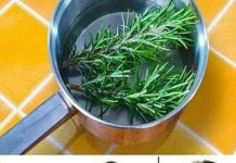 Rosemary for Hair Growth: A Natural Remedy for Stronger, Healthier Hair