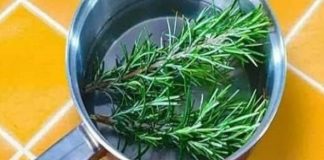 Rosemary for Hair Growth: A Natural Remedy for Stronger, Healthier Hair