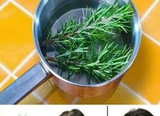 Rosemary for Hair Growth: A Natural Remedy for Stronger, Healthier Hair