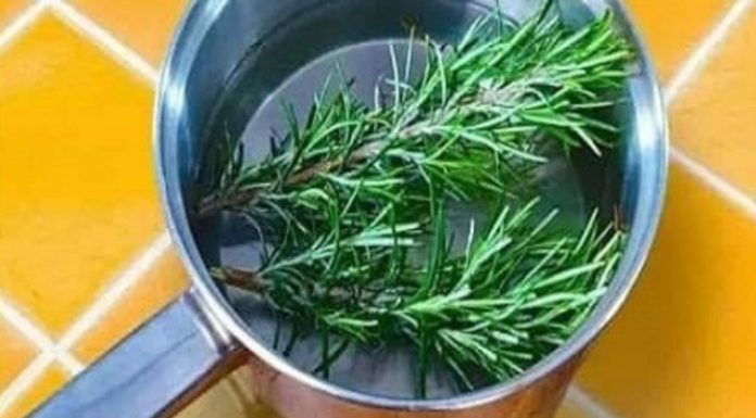 Rosemary for Hair Growth: A Natural Remedy for Stronger, Healthier Hair