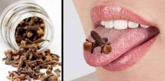 Chewing on Cloves: A Tasty Boost for Your Health