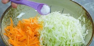 Cabbage with Carrots Tastes Better Than Meat