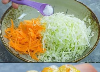 Cabbage with Carrots Tastes Better Than Meat