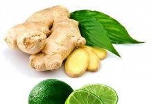 Use Lemon, Ginger, and Garlic to Treat Clogged Arteries, Cholesterol, Infections, and Colds