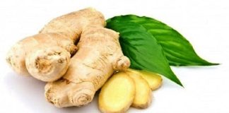 Use Lemon, Ginger, and Garlic to Treat Clogged Arteries, Cholesterol, Infections, and Colds