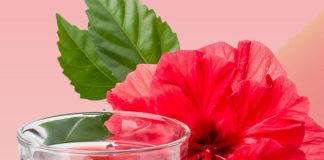 Refreshing Hibiscus Tea: A Floral Delight
